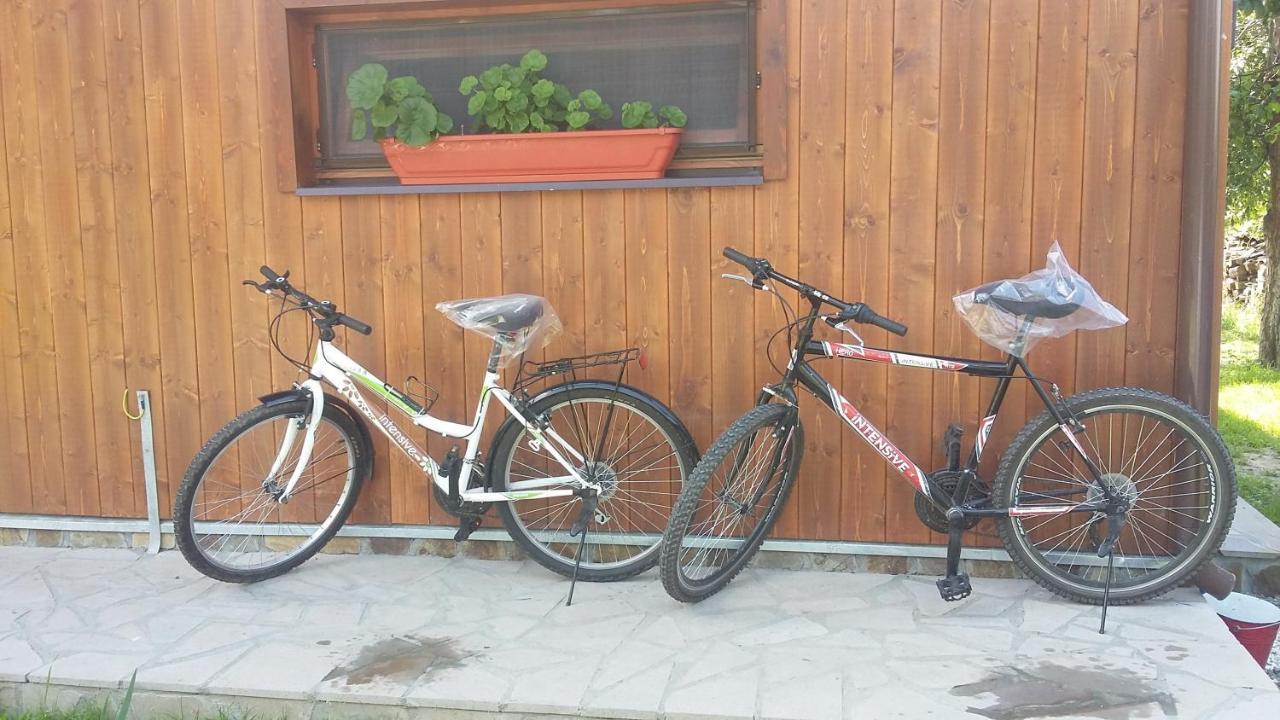 Albinuta Guesthouse Ozun Extérieur photo